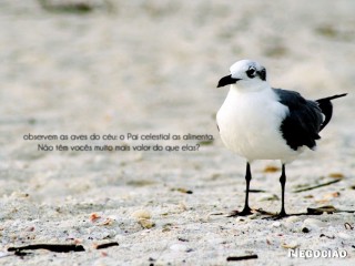 Declaração IRPF Imposto de Renda 2025/2026 Londrina