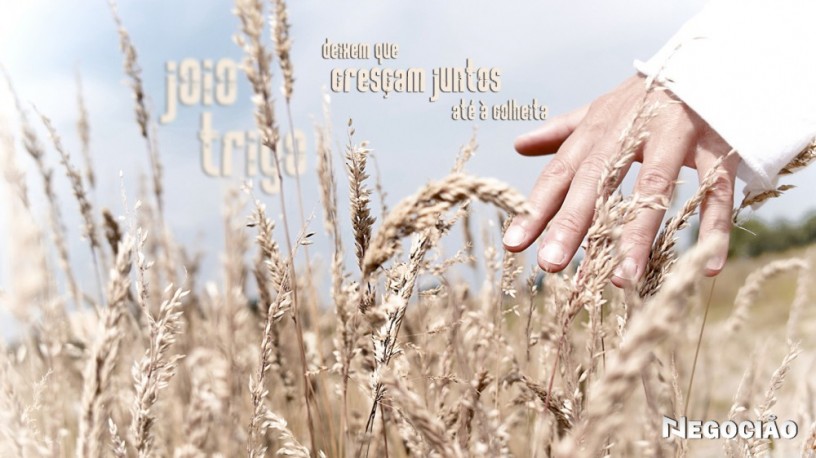 consultoria-e-contabilidade-mei-para-carpinteiro-e-gesseiro-big-0