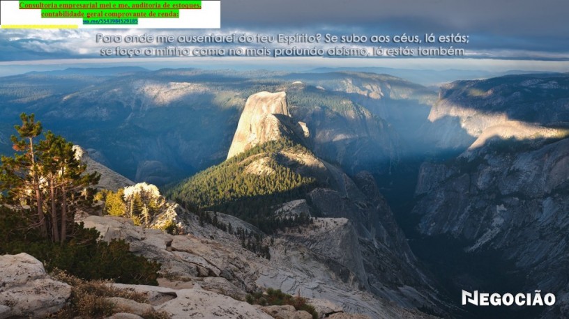 business-1999-assessoria-empresarial-e-imposto-de-renda-big-0