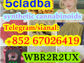 cannabinoid-5cladba-precursor-small-0