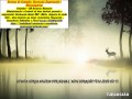 servico-de-contador-e-imposto-de-renda-2025-small-0