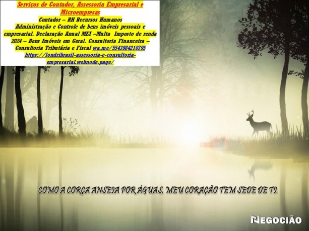 servico-de-contador-e-imposto-de-renda-2025-big-0