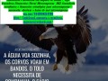 vila-agari-servicos-de-propaganda-digital-anunciodivulgacao-e-marketing-small-0