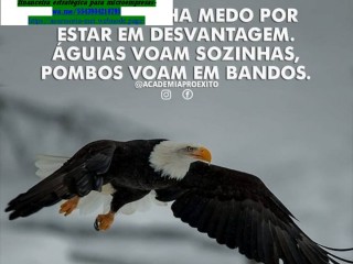 Jardim Pizza Anúncio,Divulgação,Propaganda Digital e Marketing