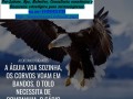 porto-alegre-servicos-de-divulgacaoanunciopropaganda-digital-e-marketing-small-0