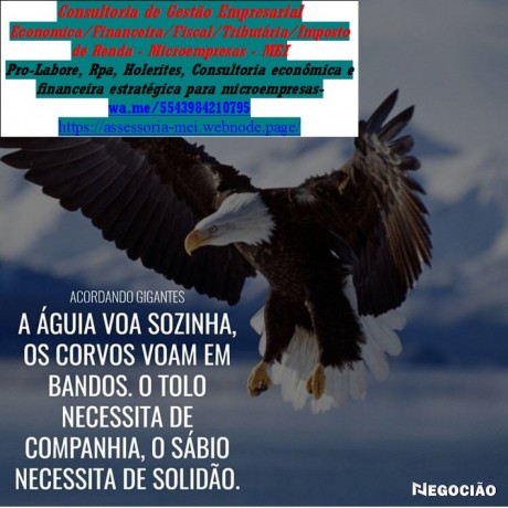 porto-alegre-servicos-de-divulgacaoanunciopropaganda-digital-e-marketing-big-0