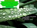 a1parana-declaracao-anual-mei-31-05-2025-small-0