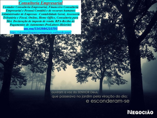 consultoria-contabil-e-planejamento-tributario-para-cnpj-mei-big-0