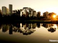 amazonas-consultoria-e-assessoria-contabil-e-fiscal-small-0