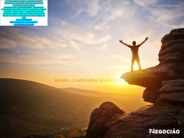 contador-online-para-brasileiros-em-boston-eua-big-0
