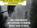 parana-declaracao-anual-mei-small-0