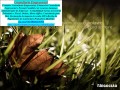 rua-benjamin-constant-declaracao-anual-mei-small-0