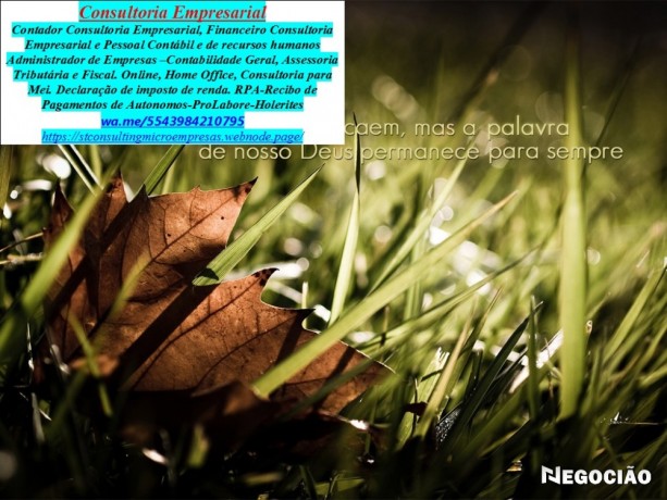 rua-benjamin-constant-declaracao-anual-mei-big-0