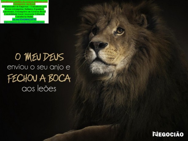 comprovacao-renda-profliberalautonomos-jardim-petropolis-big-0