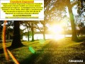 consultoria-microempresas-belo-horizonte-small-0