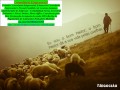 comprovacao-de-renda-mensal-para-autonomos-av-dez-dezembro-small-0