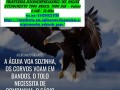 consultoria-mei-av-robert-koch-small-0