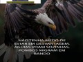 tecnologia-da-informacao-rio-de-janeiro-small-0