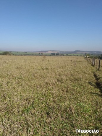 area-rural-bairro-do-pinho-big-0
