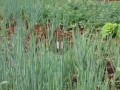 terreno-682m2-no-centro-de-canitar-small-0