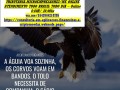 mei-contabilidadeassessoriaconsultoriaimposto-renda-heimtal-small-0