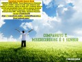 o-contador-bairro-higienopolis-small-0