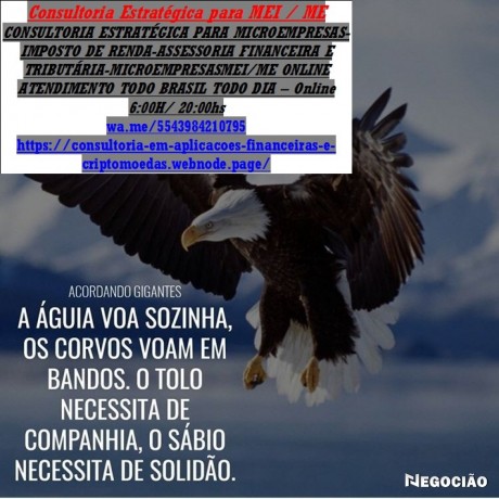 como-comprovar-renda-sendo-autonomo-ou-liberal-gleba-palhano-big-0