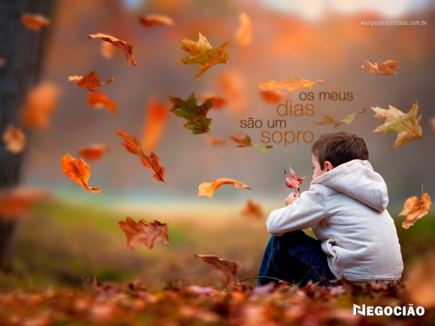 declaracao-anual-mei-jardim-bairro-quebecbela-suica-big-0