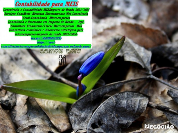 declaracao-comprobatoria-de-percepcao-de-rendimentos-decore-big-0