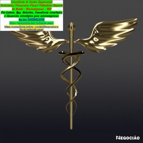 dasn-simei-declaracao-anual-do-simples-nacional-londrina-big-0