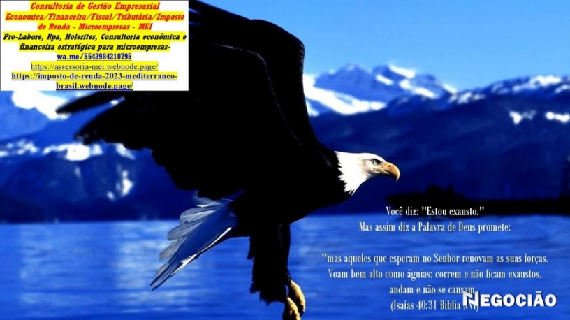 como-fazer-declaracao-anual-mei-parana-imposto-de-renda-2025-big-0