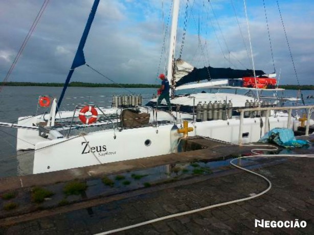 mergulho-em-abrolhos-big-5