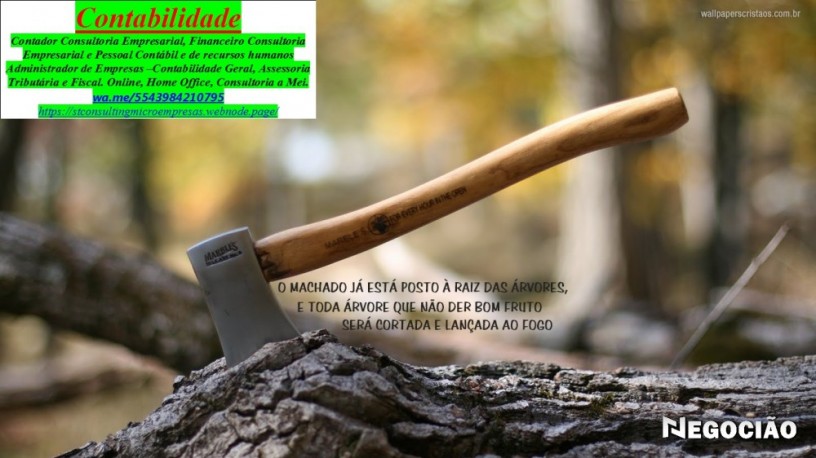 consultoria-amazonas-contabilidade-e-financeira-big-0