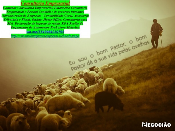 consultor-contabil-financeirorecursos-humanos-para-microempresas-mei-big-0