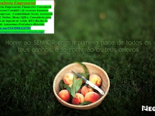 Contador, Conultoria MEI, Declaração IRPF 2025/2026 Cambé