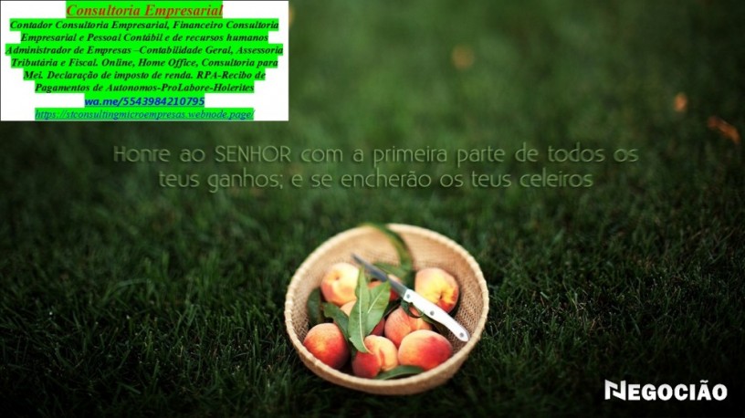 contador-conultoria-mei-declaracao-irpf-20252026-cambe-big-0