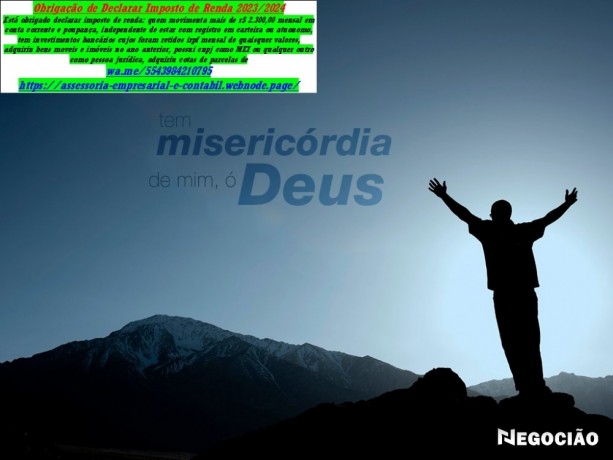 consultoria-declaracao-irpf-imposto-de-renda-pessoa-fisica-20252026-big-0