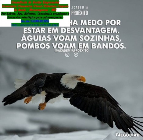contabilidade-rural-controle-vendas-e-despesas-limoeiro-big-0