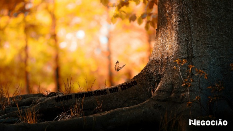 londrina-marido-de-aluguel-consertos-jardinagem-reparos-big-0